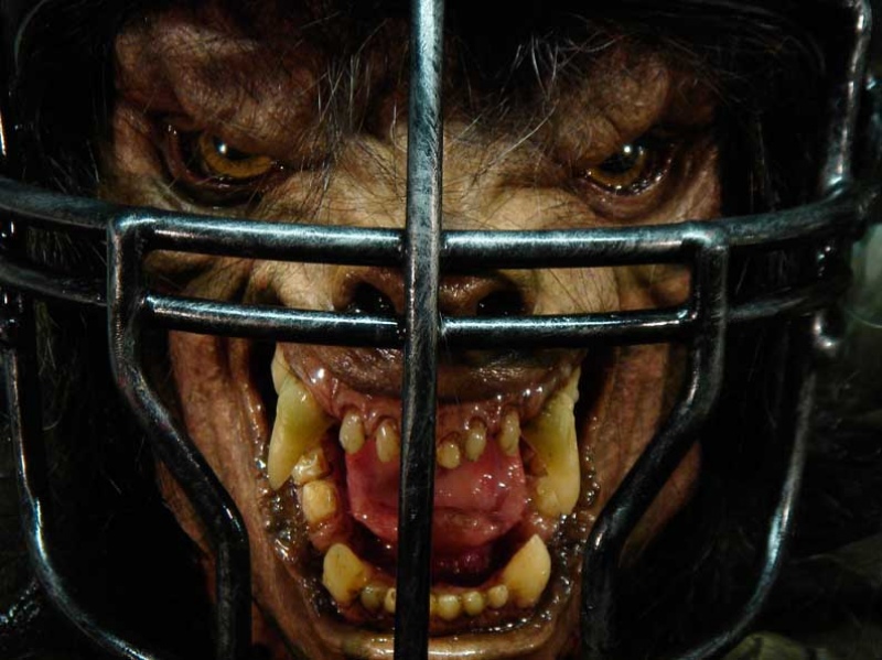Three Week Character and Creature Creation Course